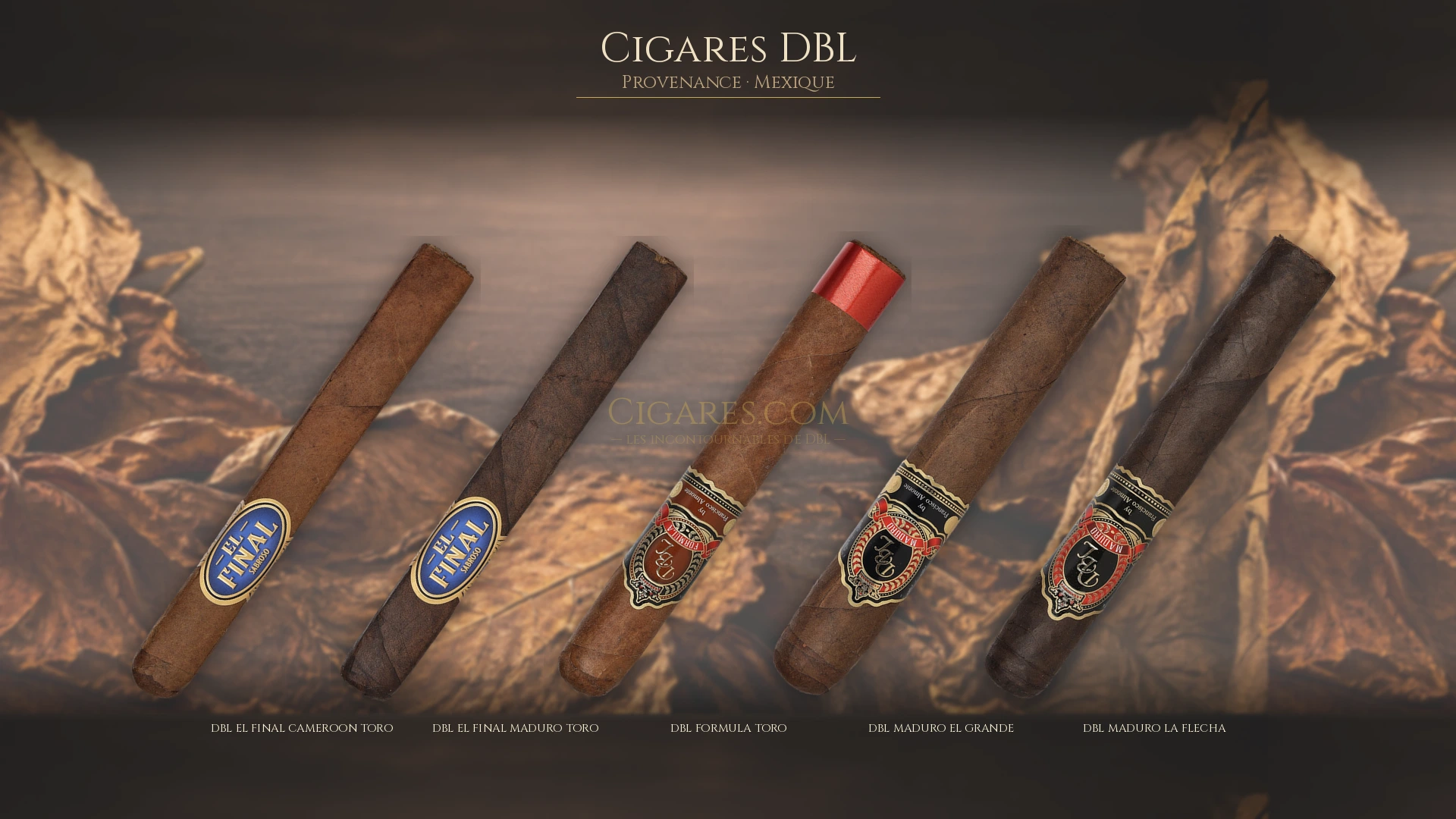 Top 5 cigares DBL — les plus populaires