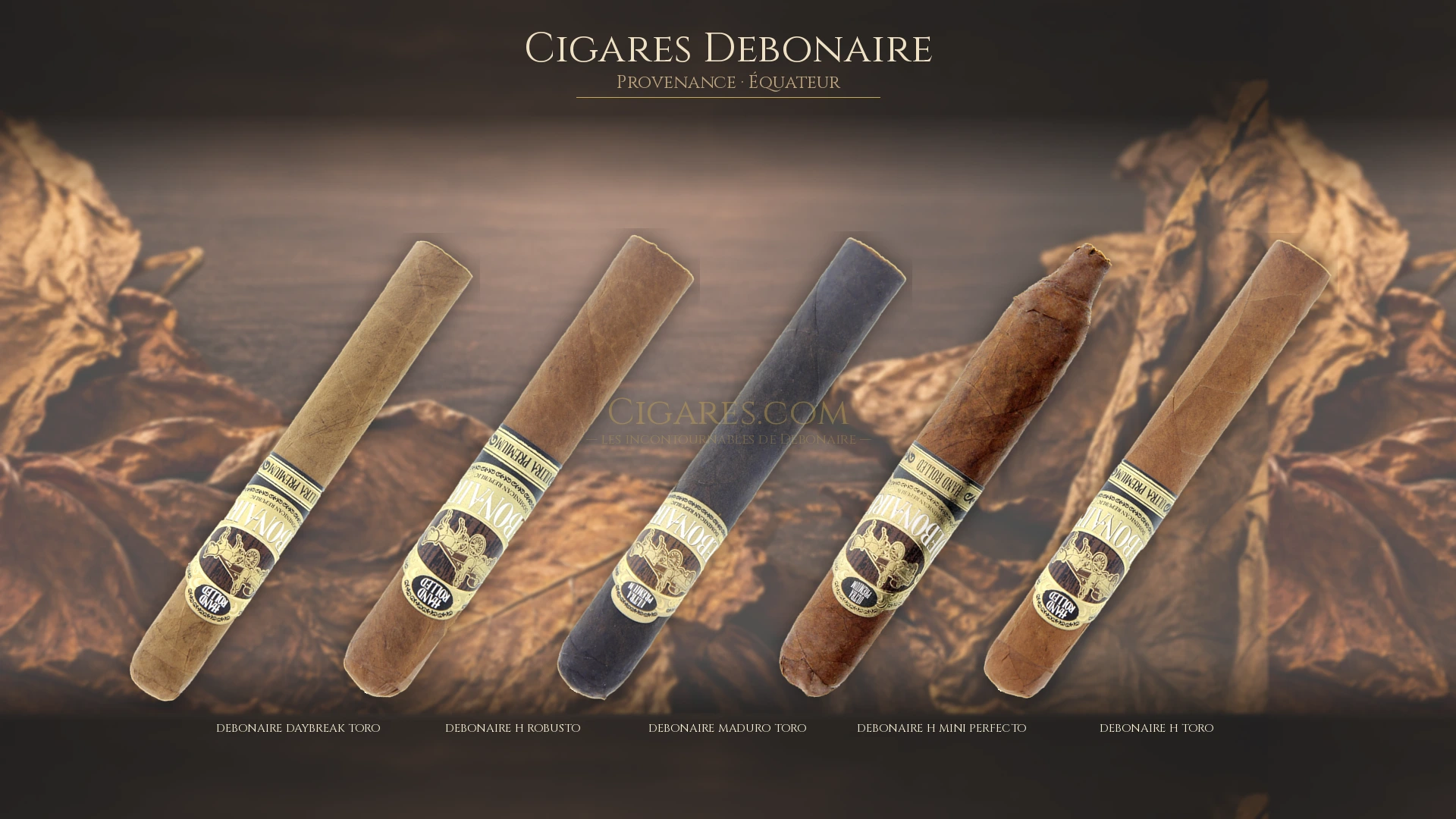 Top 5 cigares Debonaire — les plus populaires