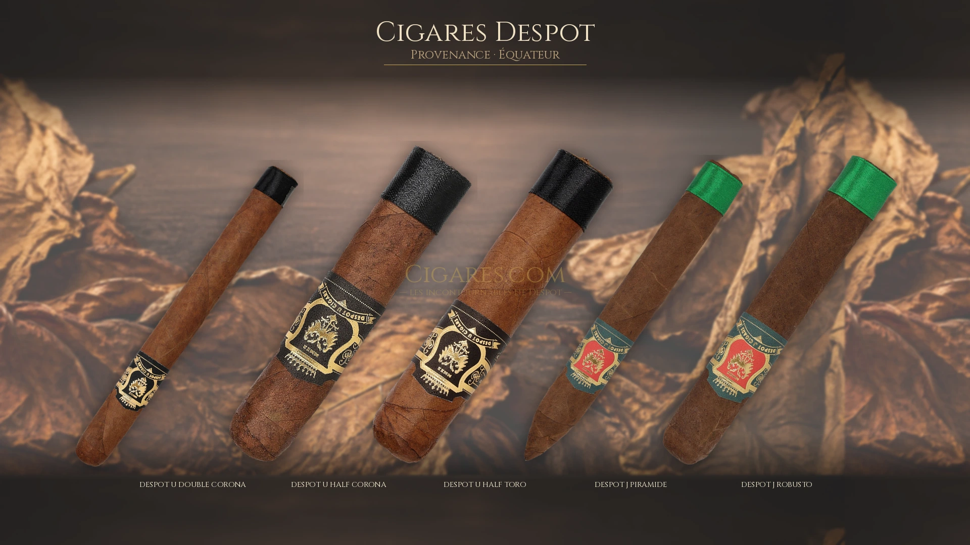 Top 5 cigares Despot — les plus populaires