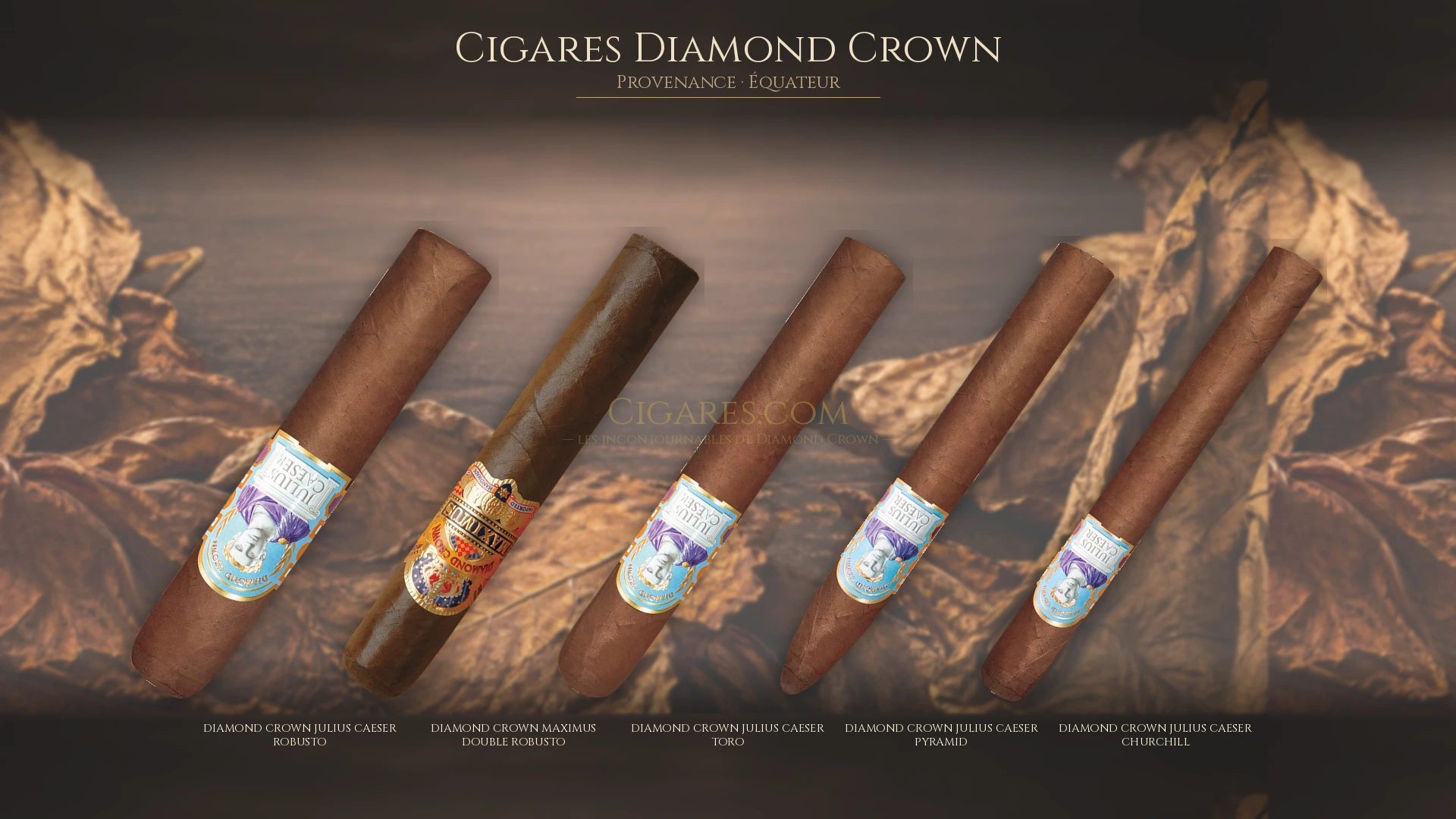 Top 5 cigares Diamond Crown — les plus populaires