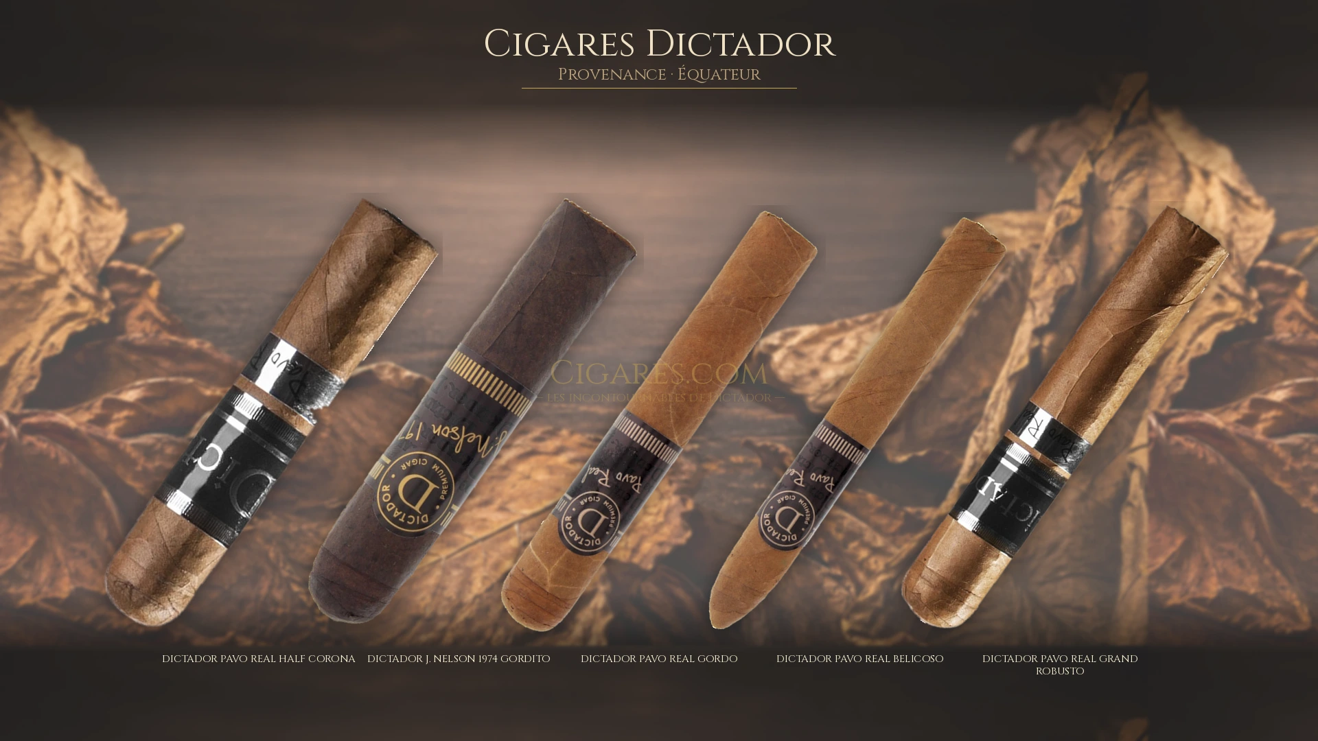 Top 5 cigares Dictador — les plus populaires