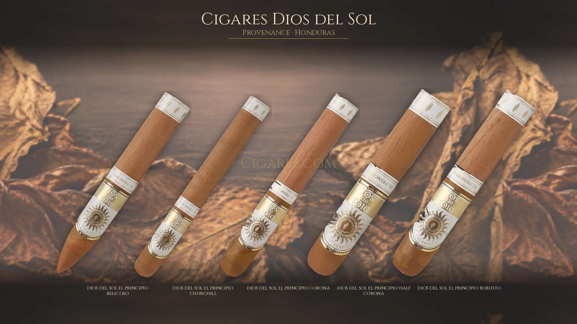 Top 5 cigares Dios del Sol — les plus populaires