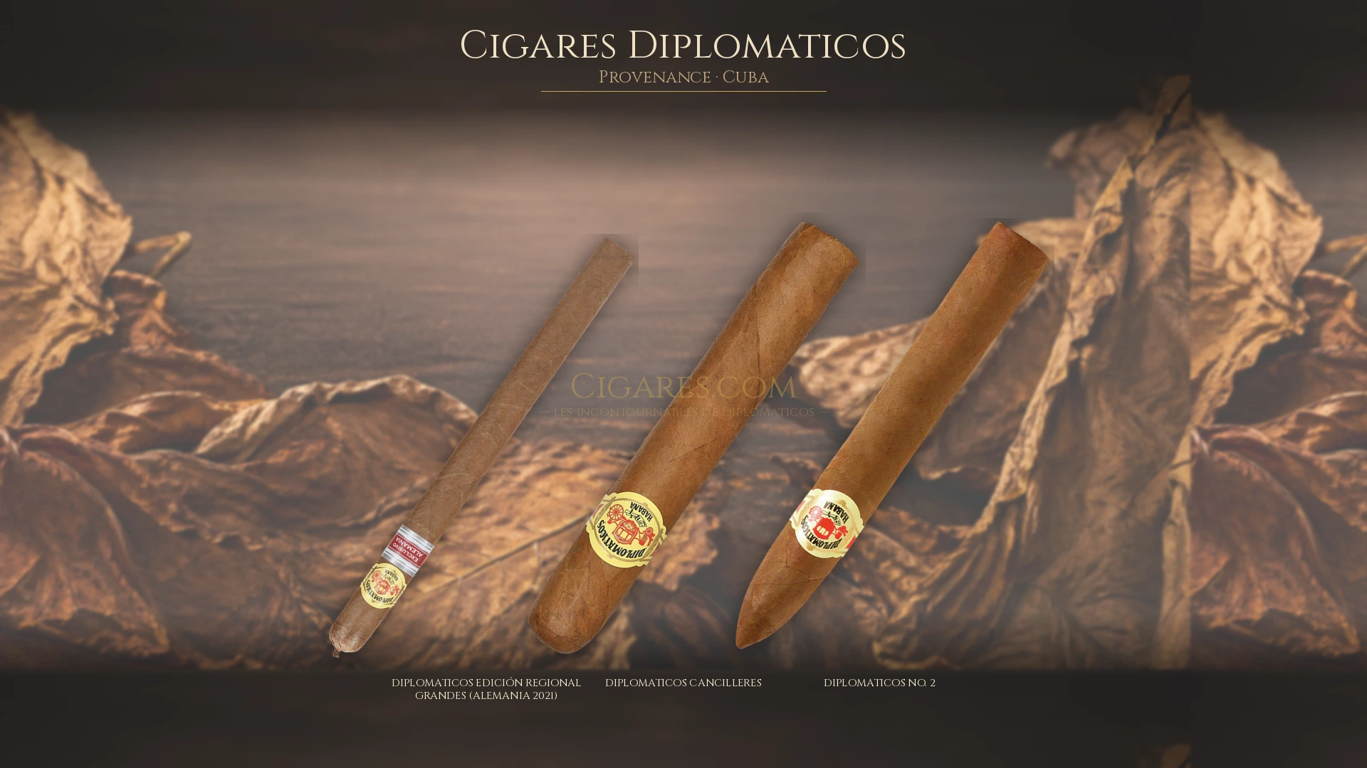 Top 5 cigares Diplomaticos — les plus populaires