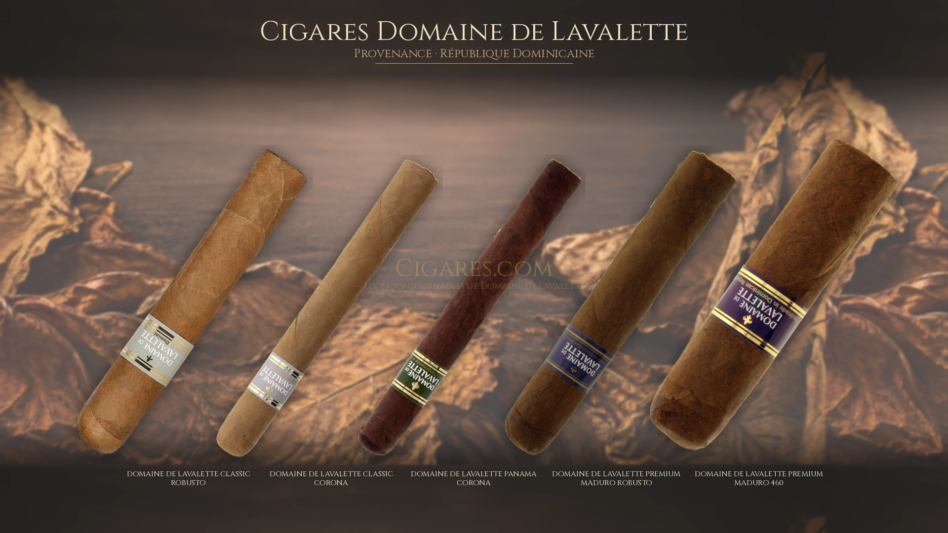 Top 5 cigares Domaine de Lavalette — les plus populaires