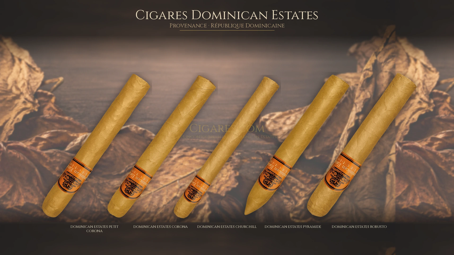 Top 5 cigares Dominican Estates — les plus populaires