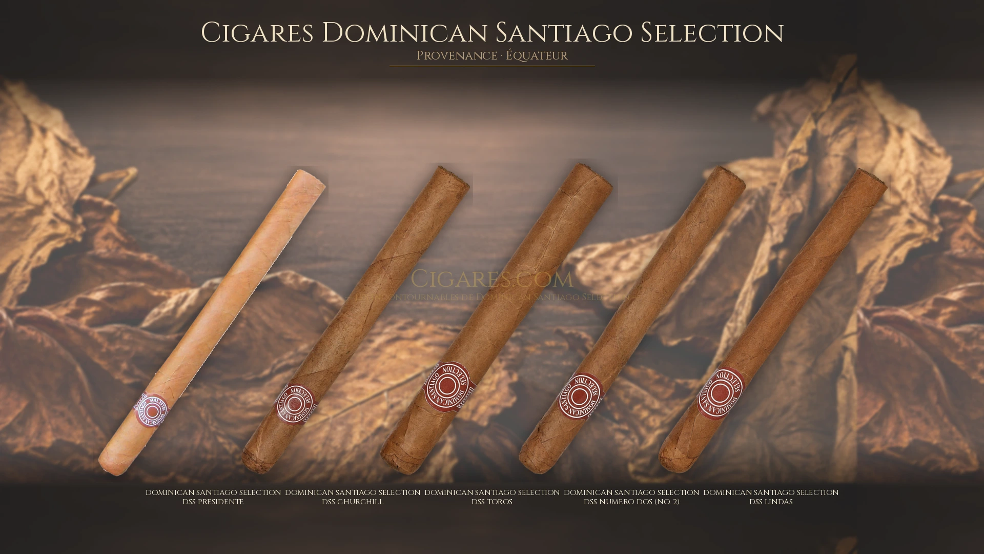Top 5 cigares Dominican Santiago Selection — les plus populaires