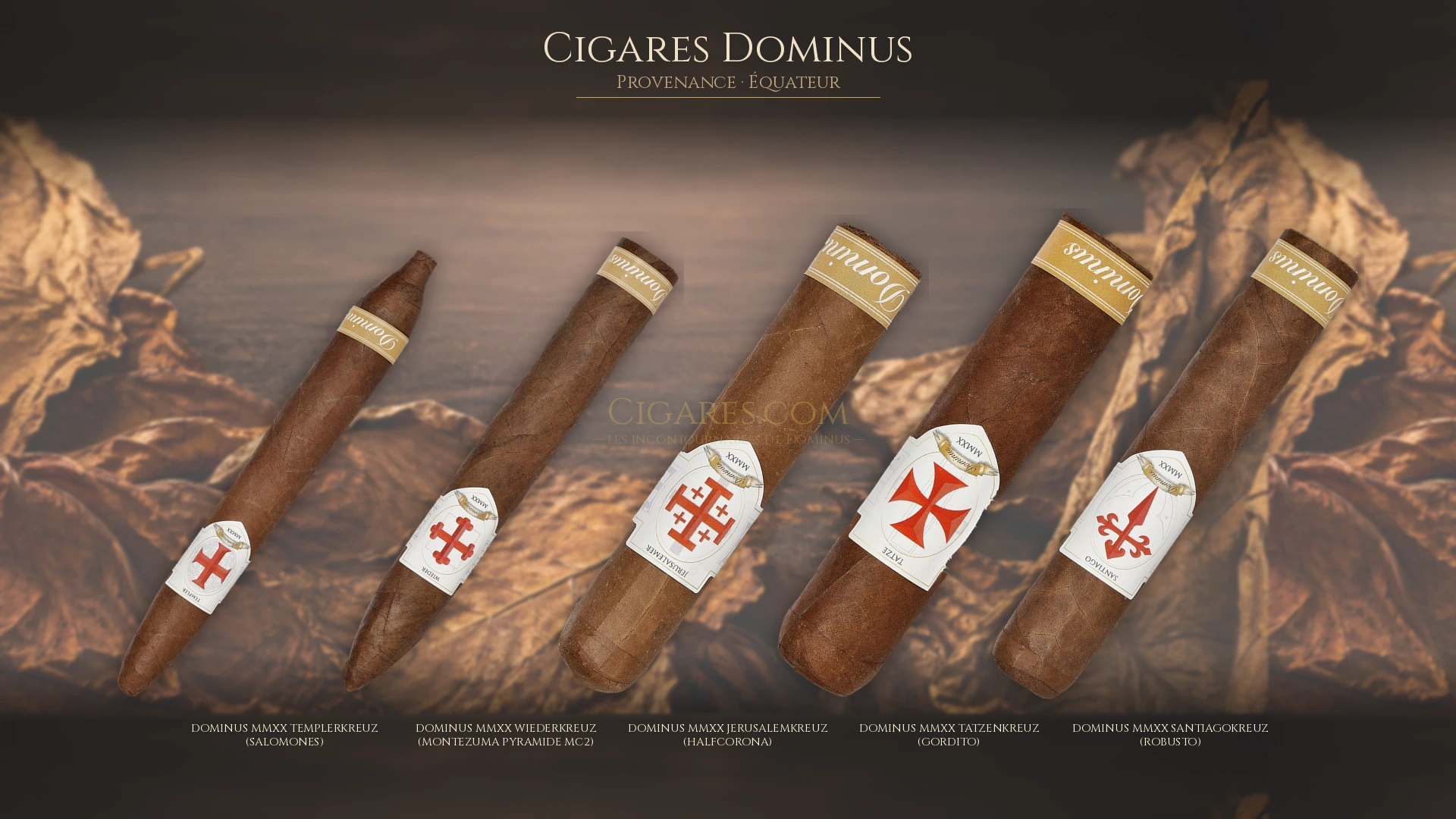 Top 5 cigares Dominus — les plus populaires