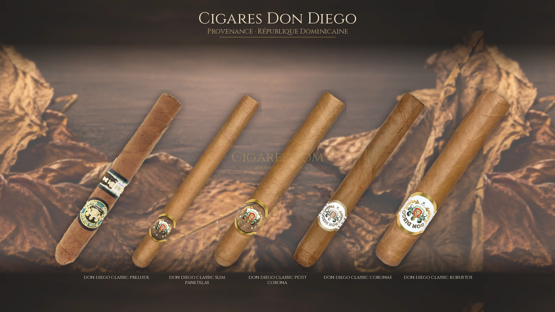 Top 5 cigares Don Diego — les plus populaires