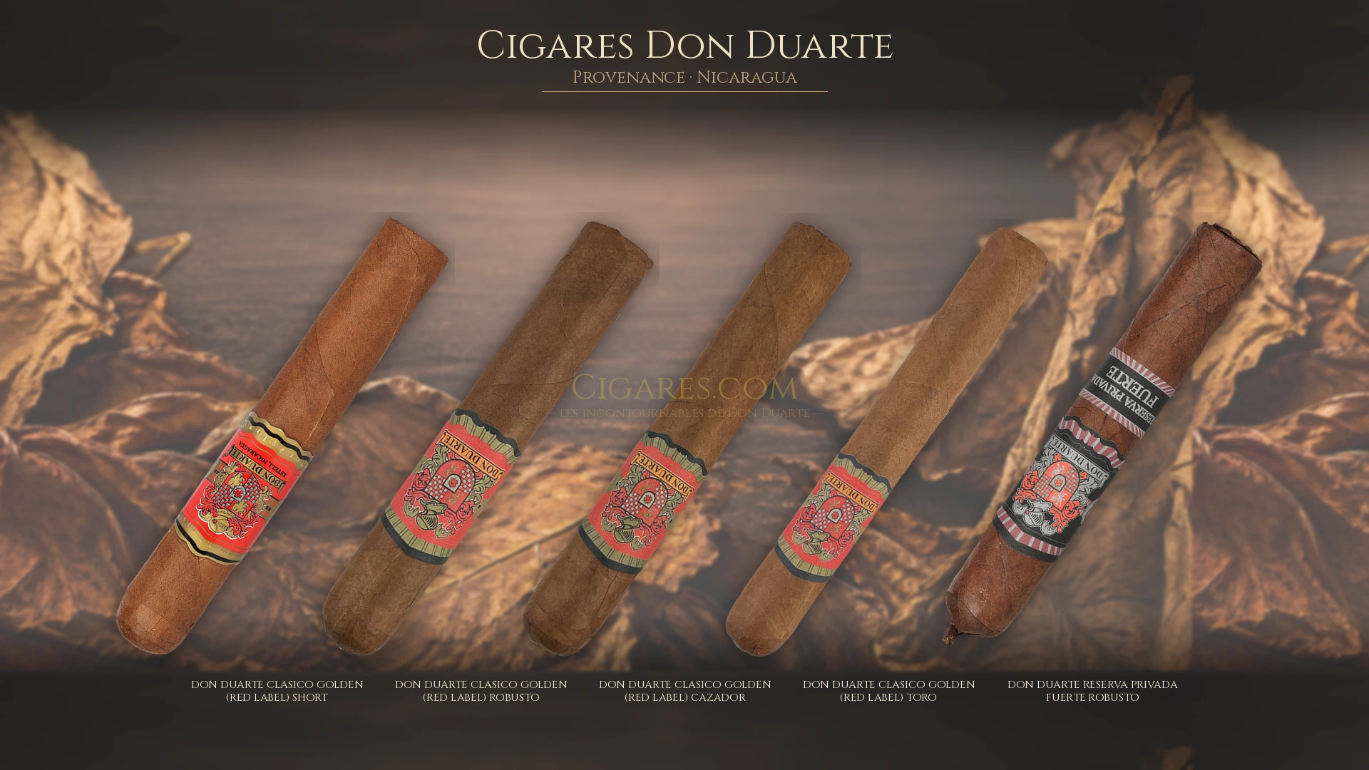 Top 5 cigares Don Duarte — les plus populaires