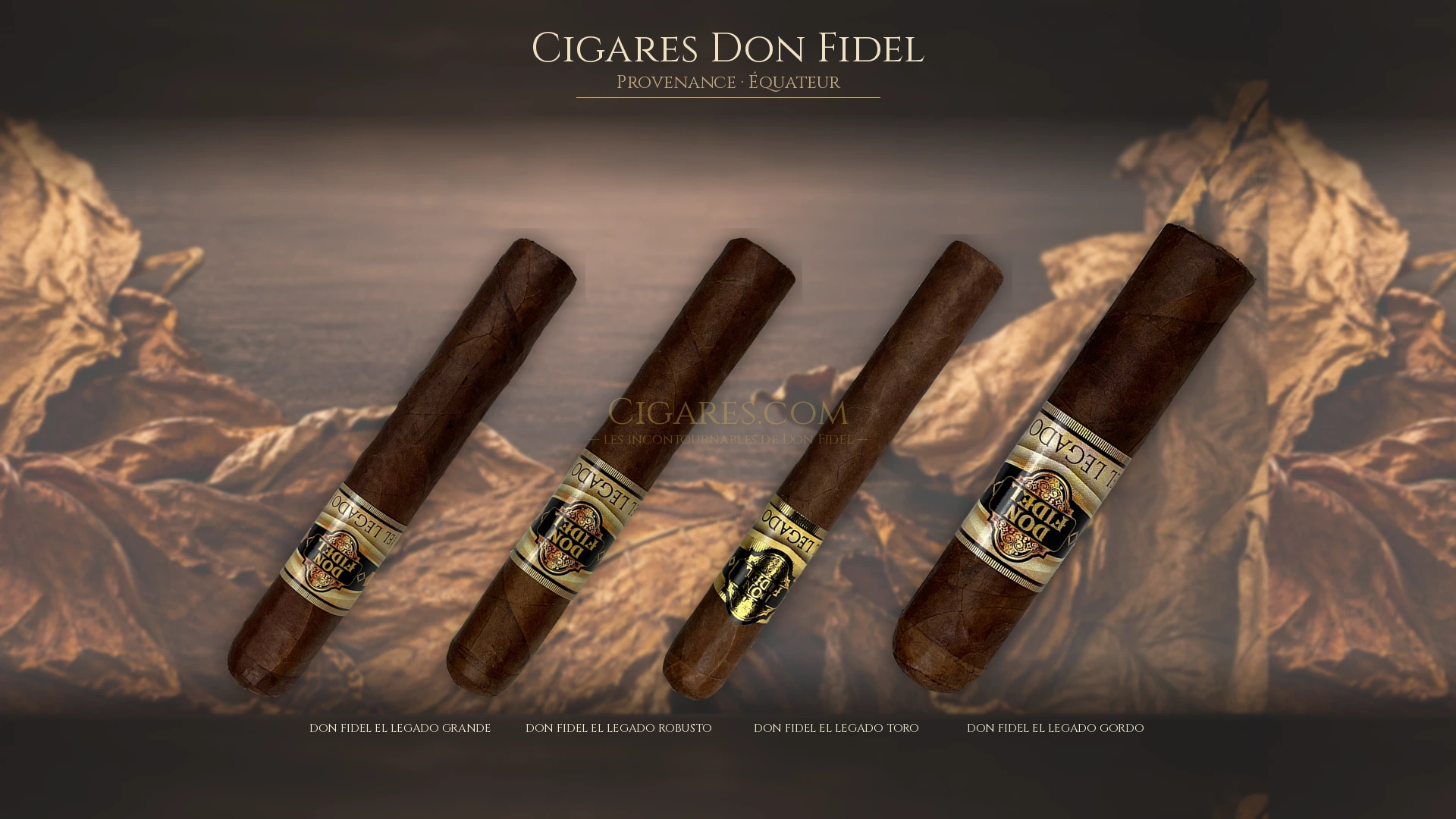 Top 5 cigares Don Fidel — les plus populaires