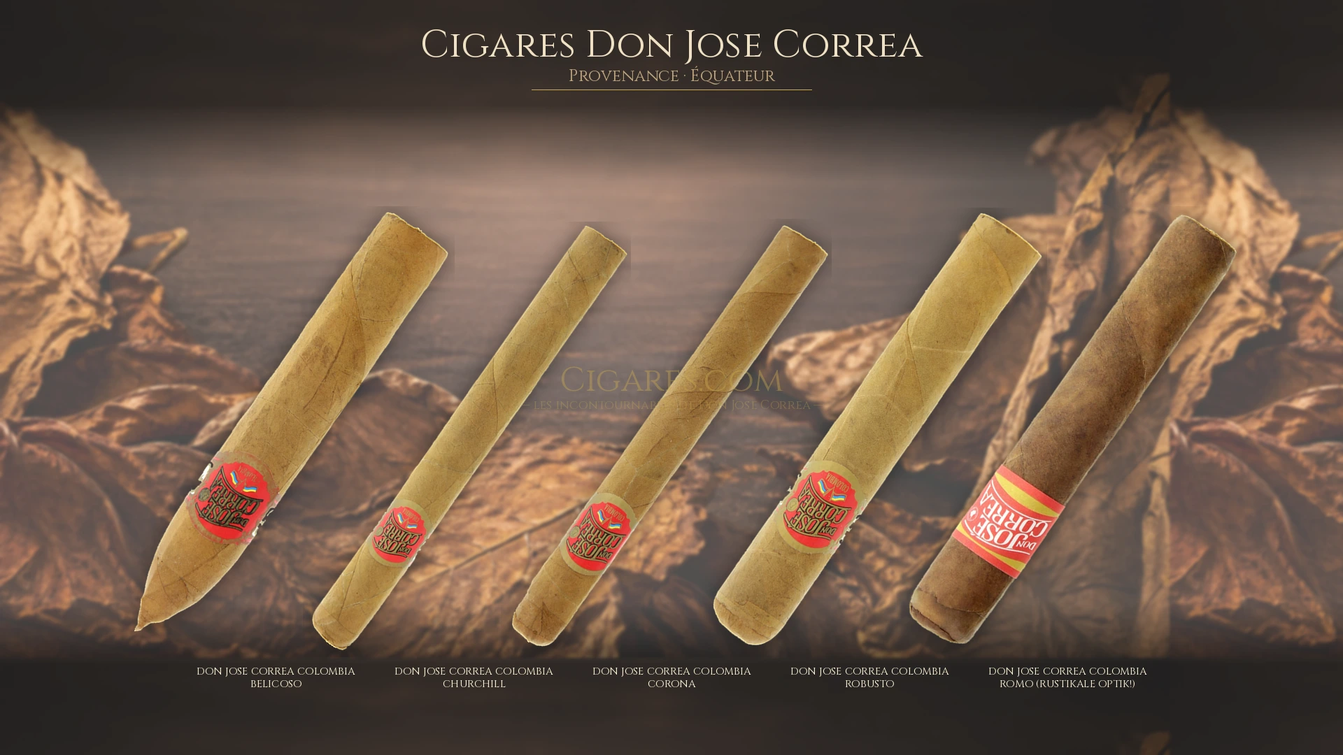 Top 5 cigares Don Jose Correa — les plus populaires