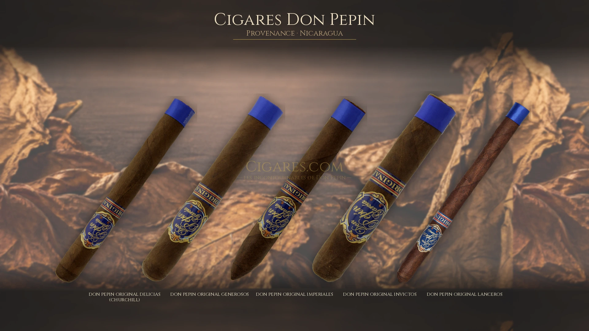 Top 5 cigares Don Pepin — les plus populaires