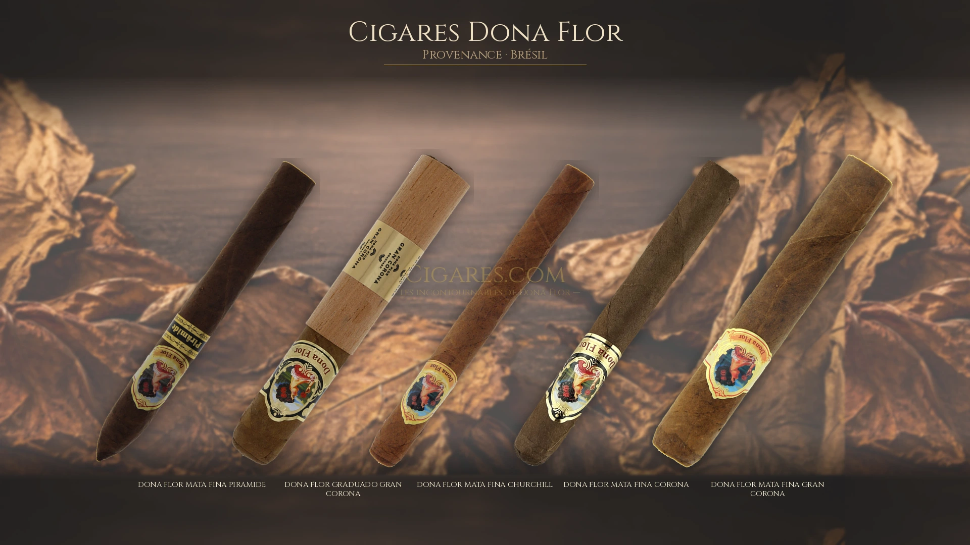 Top 5 cigares Dona Flor — les plus populaires