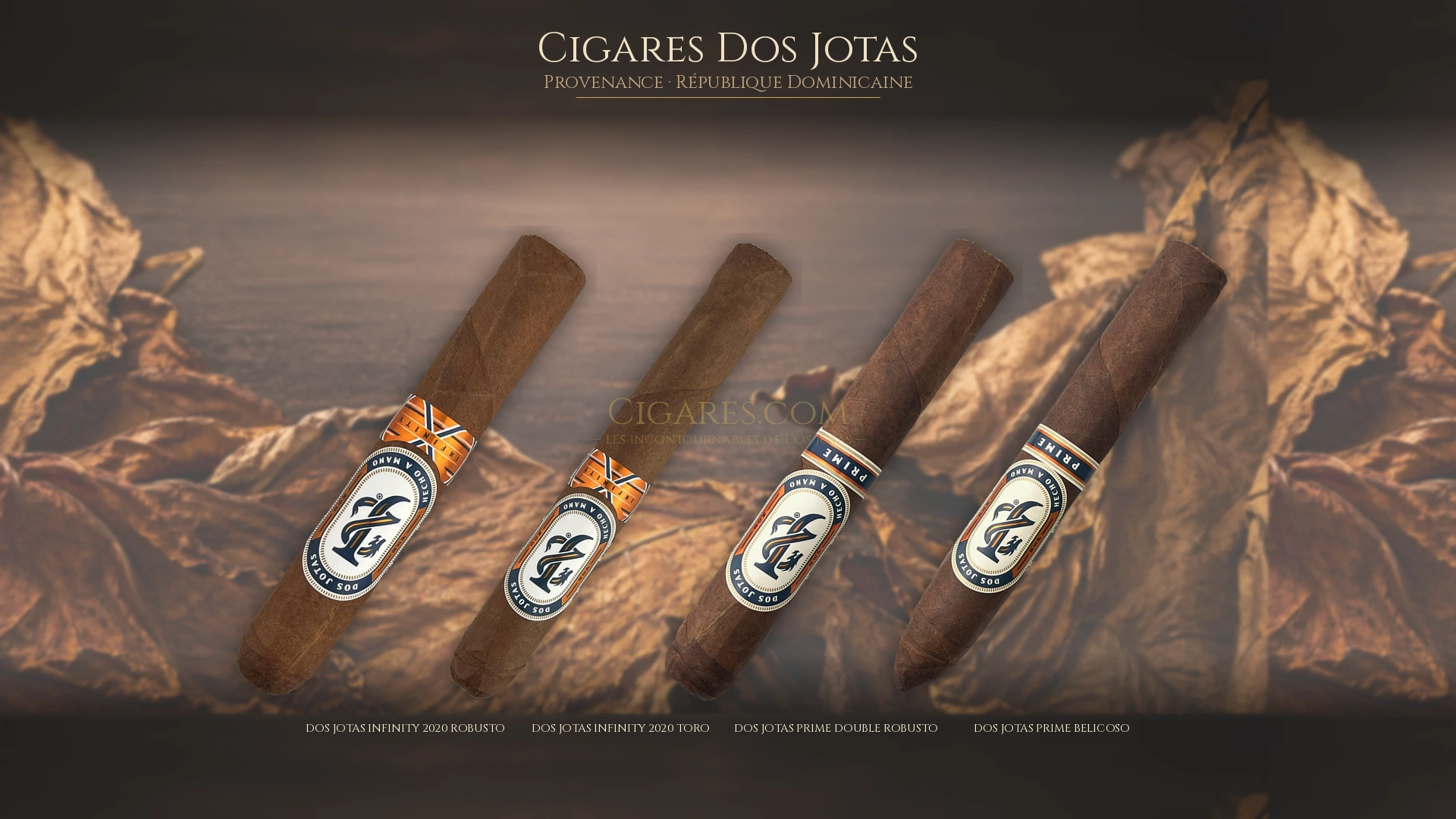 Top 5 cigares Dos Jotas — les plus populaires