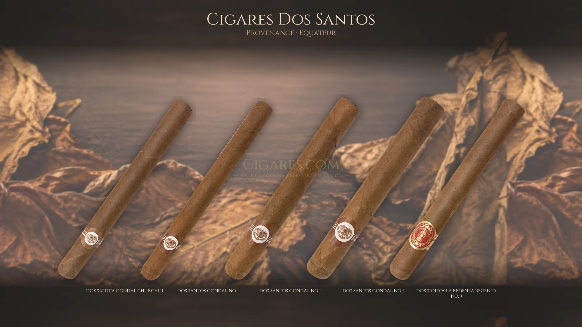 Top 5 cigares Dos Santos — les plus populaires