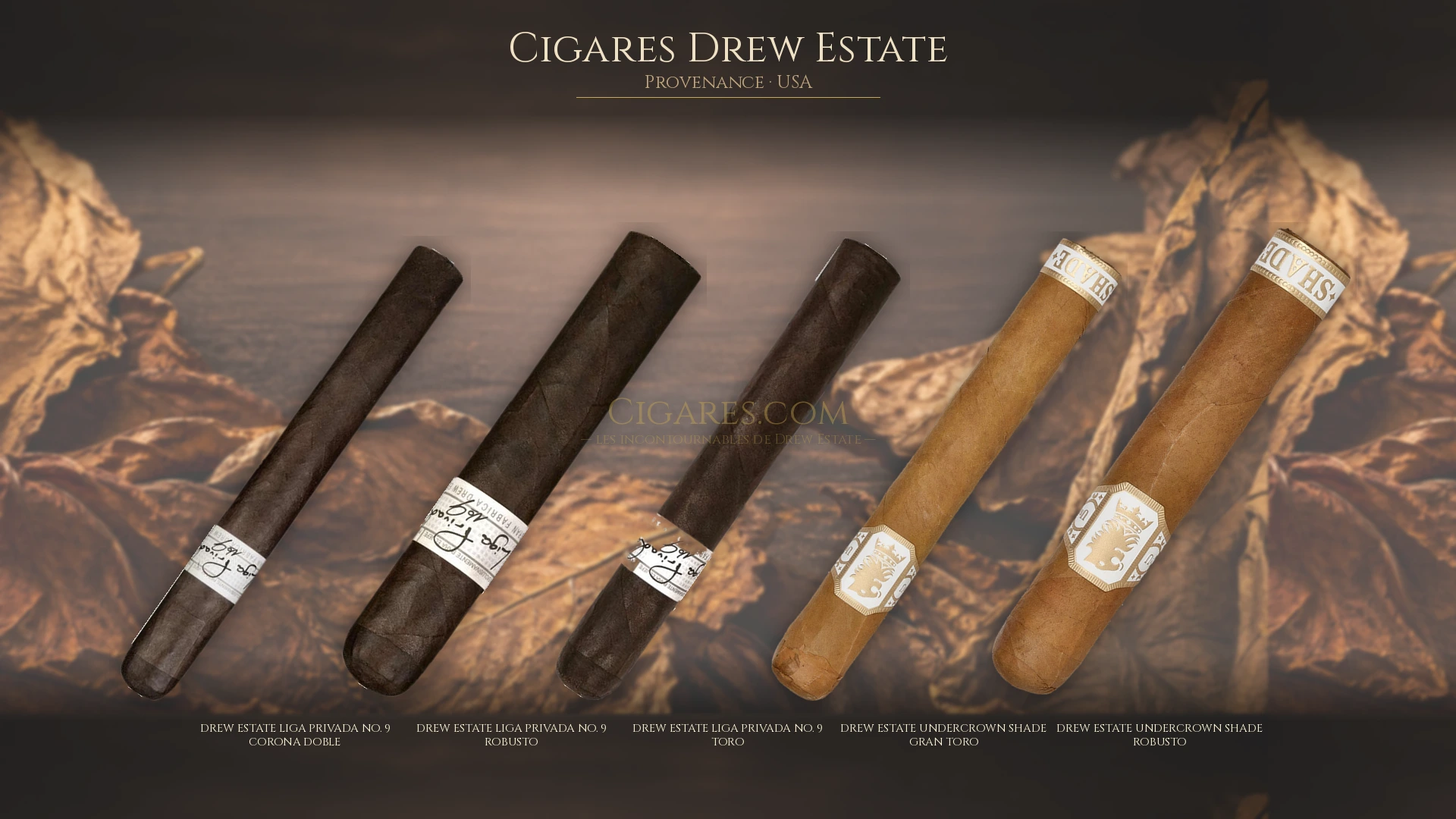 Top 5 cigares Drew Estate — les plus populaires