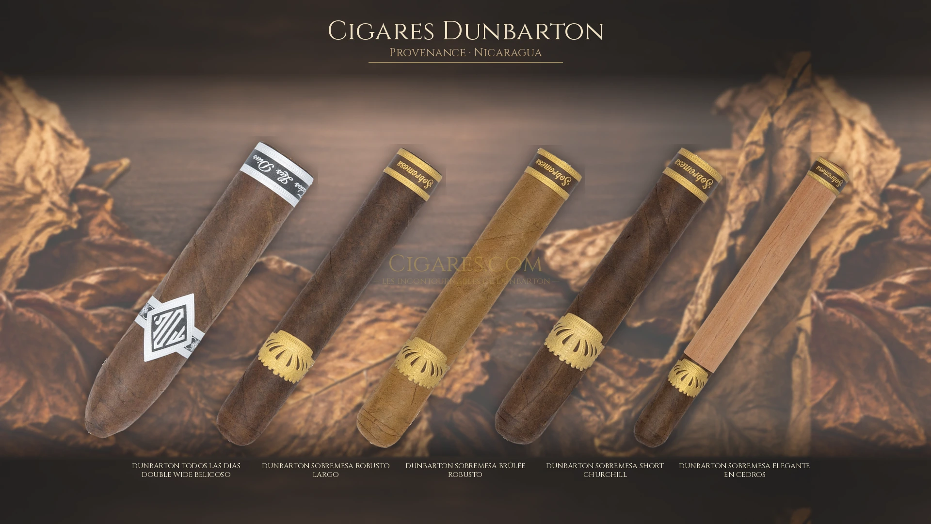 Top 5 cigares Dunbarton — les plus populaires