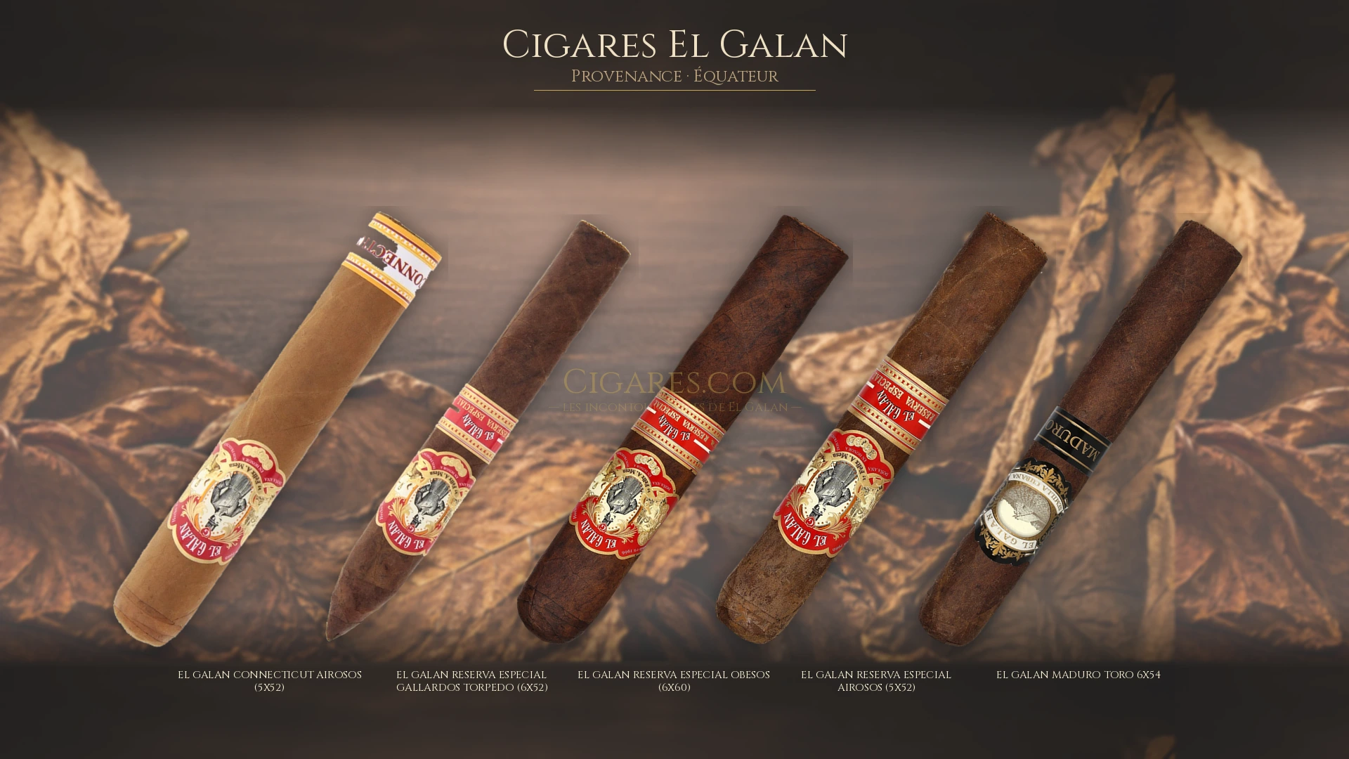 Top 5 cigares El Galan — les plus populaires