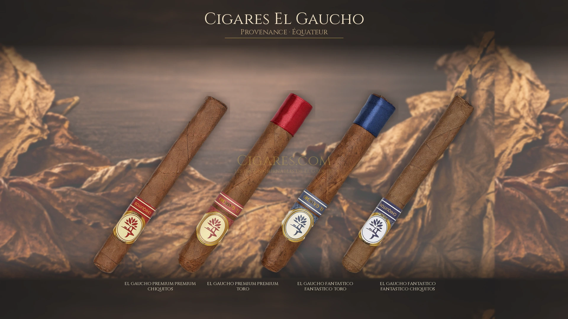 Top 5 cigares El Gaucho — les plus populaires