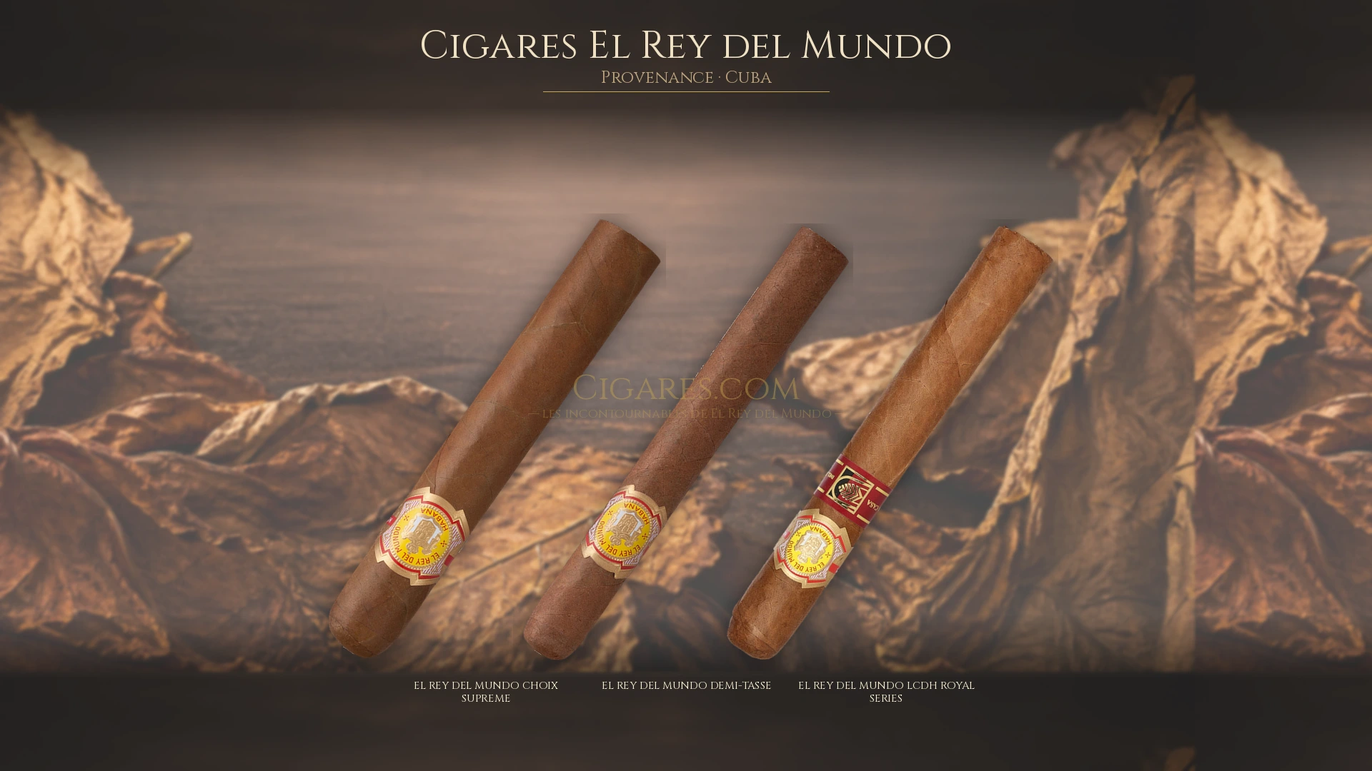 Top 5 cigares El Rey del Mundo — les plus populaires