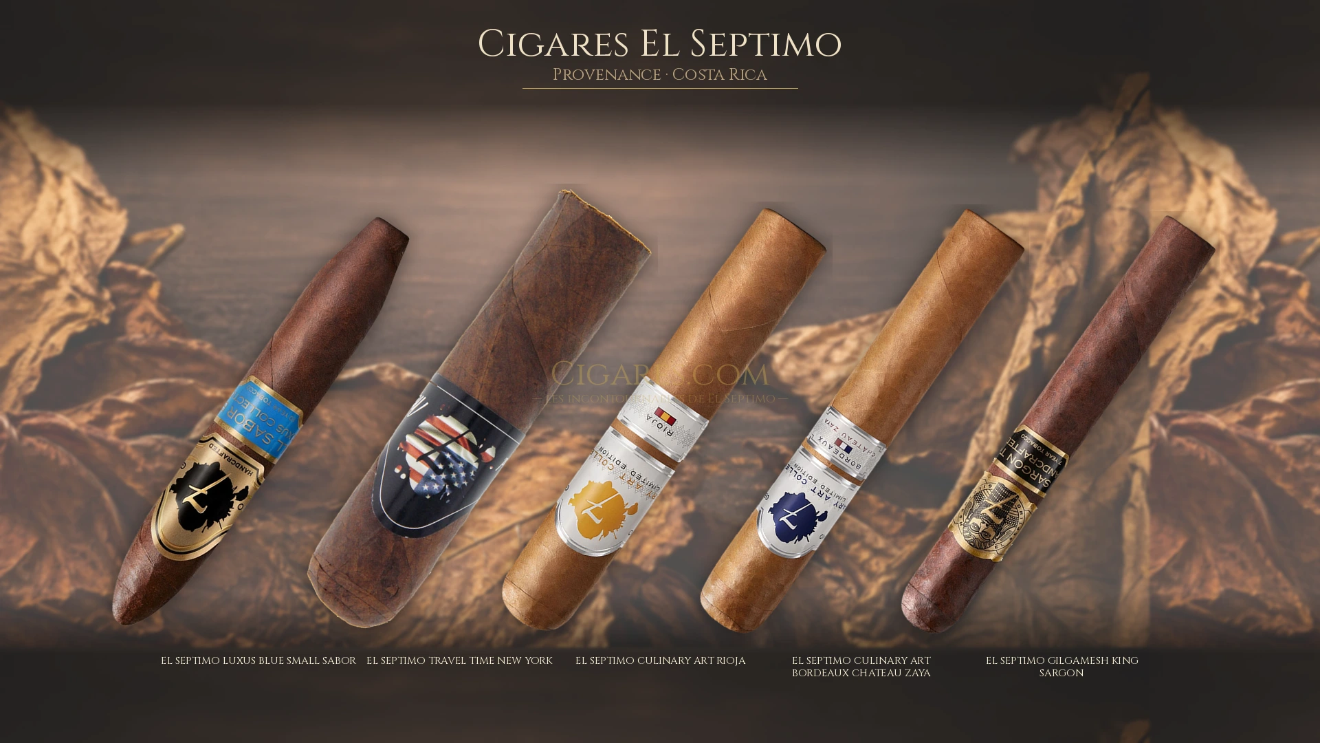 Top 5 cigares El Septimo — les plus populaires