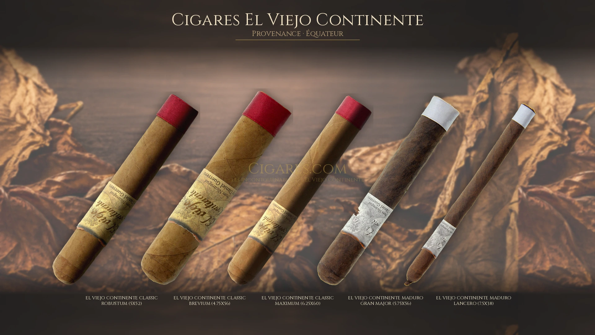 Top 5 cigares El Viejo Continente — les plus populaires
