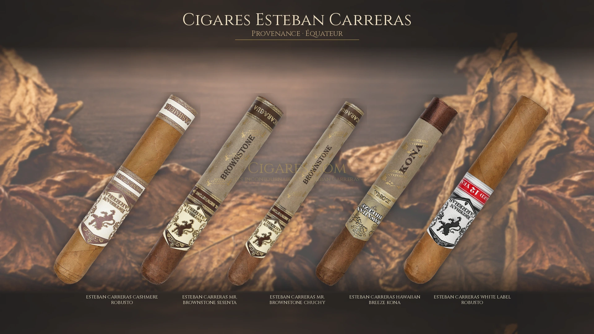 Top 5 cigares Esteban Carreras — les plus populaires