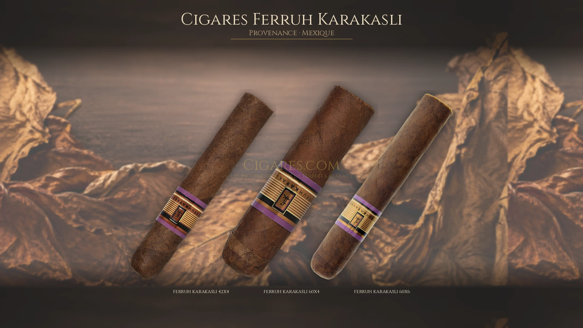 Top 5 cigares Ferruh Karakasli — les plus populaires