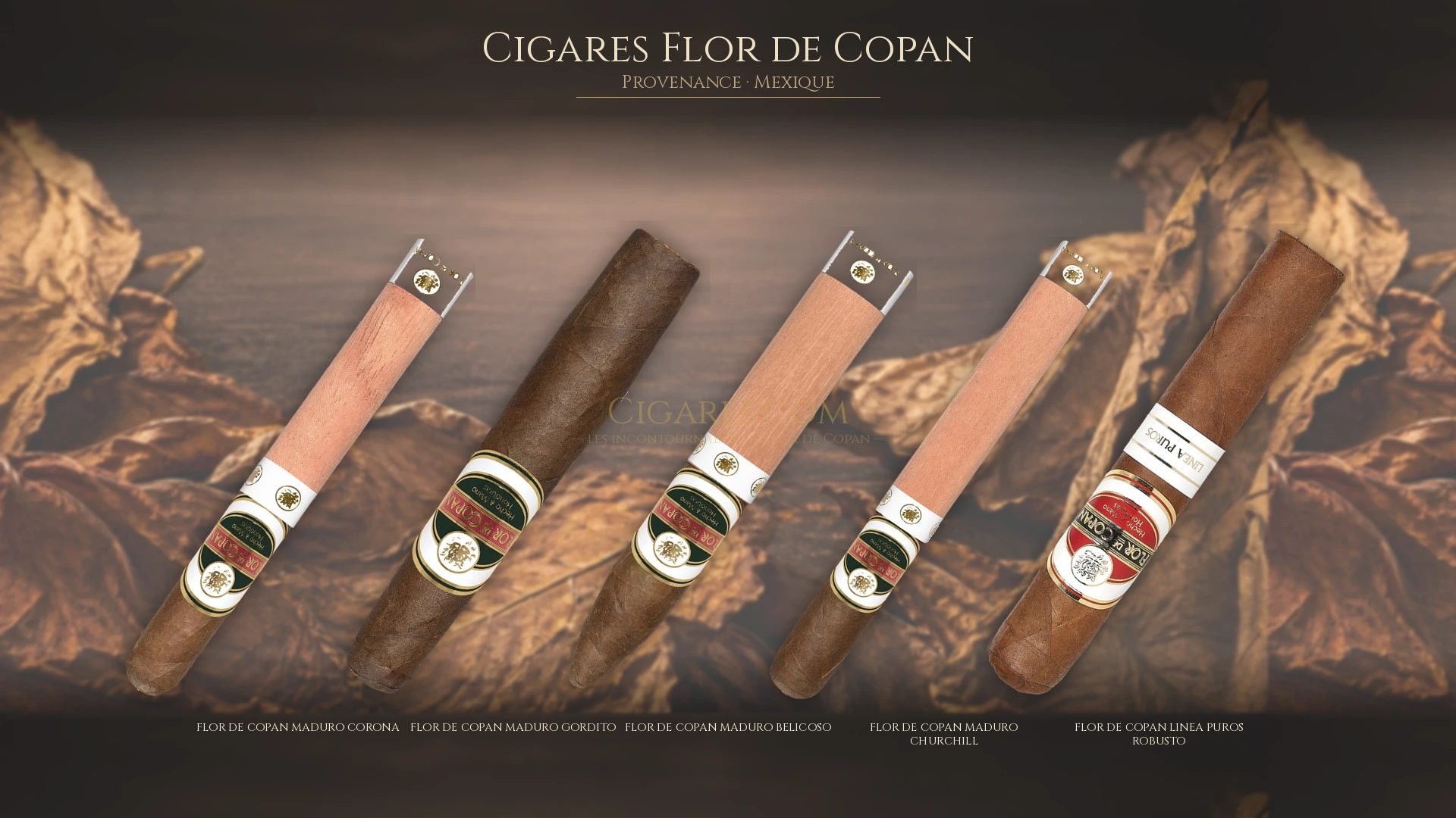 Top 5 cigares Flor de Copan — les plus populaires