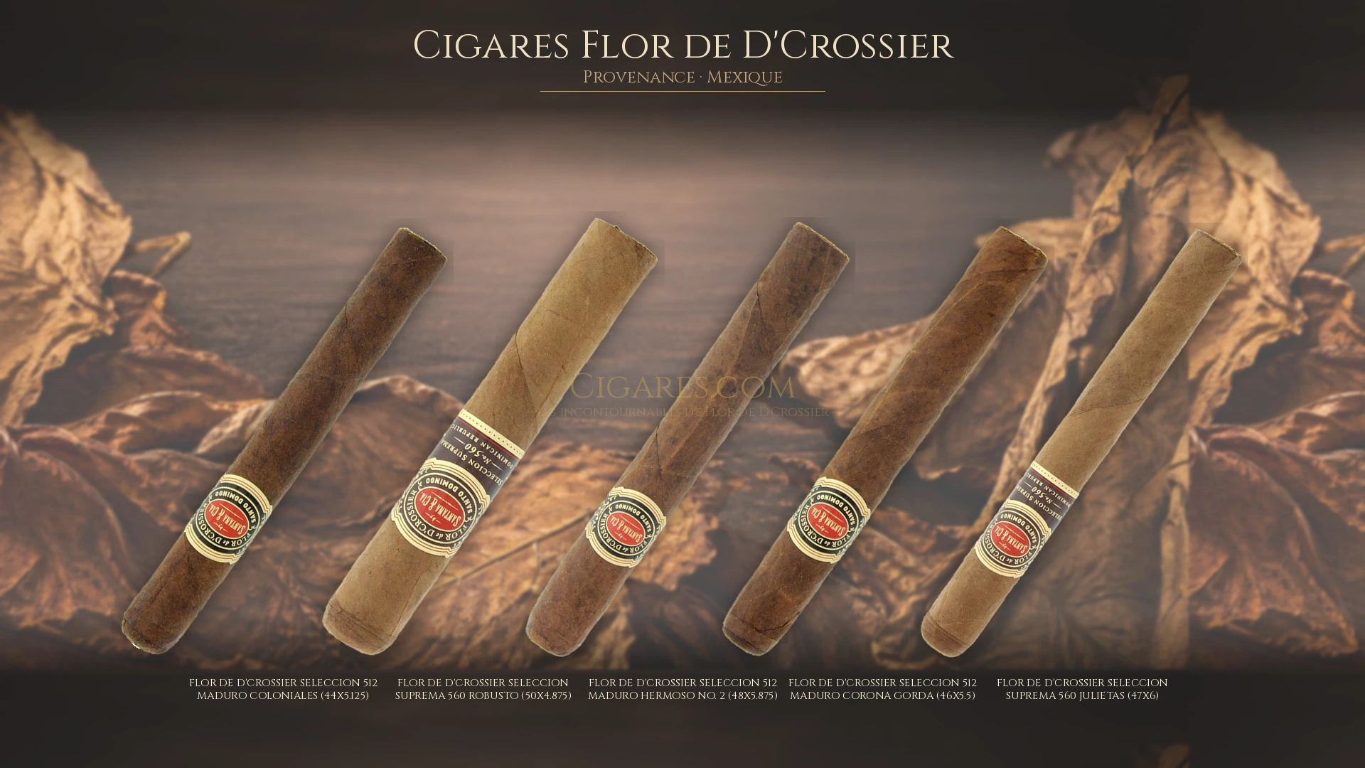 Top 5 cigares Flor de D'Crossier — les plus populaires