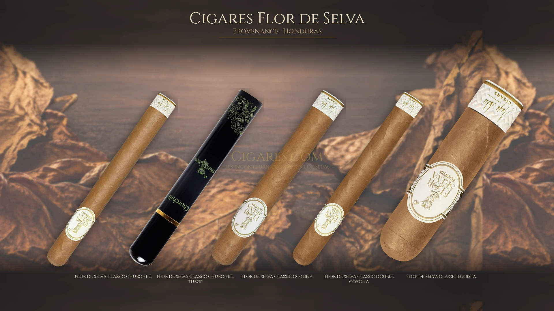 Top 5 cigares Flor de Selva — les plus populaires