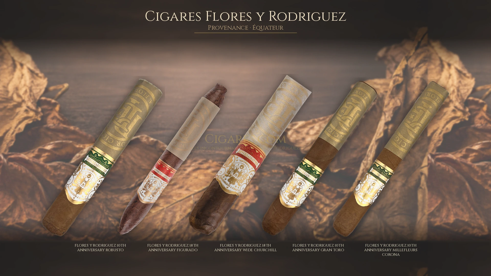 Top 5 cigares Flores y Rodriguez — les plus populaires
