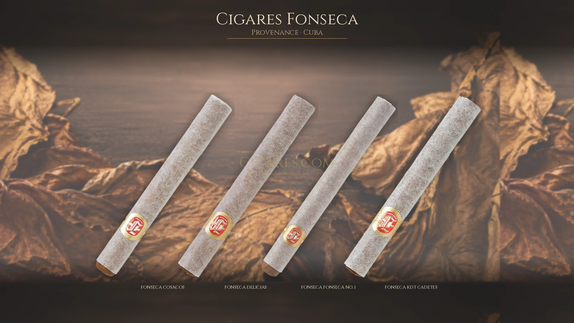 Top 5 cigares Fonseca — les plus populaires