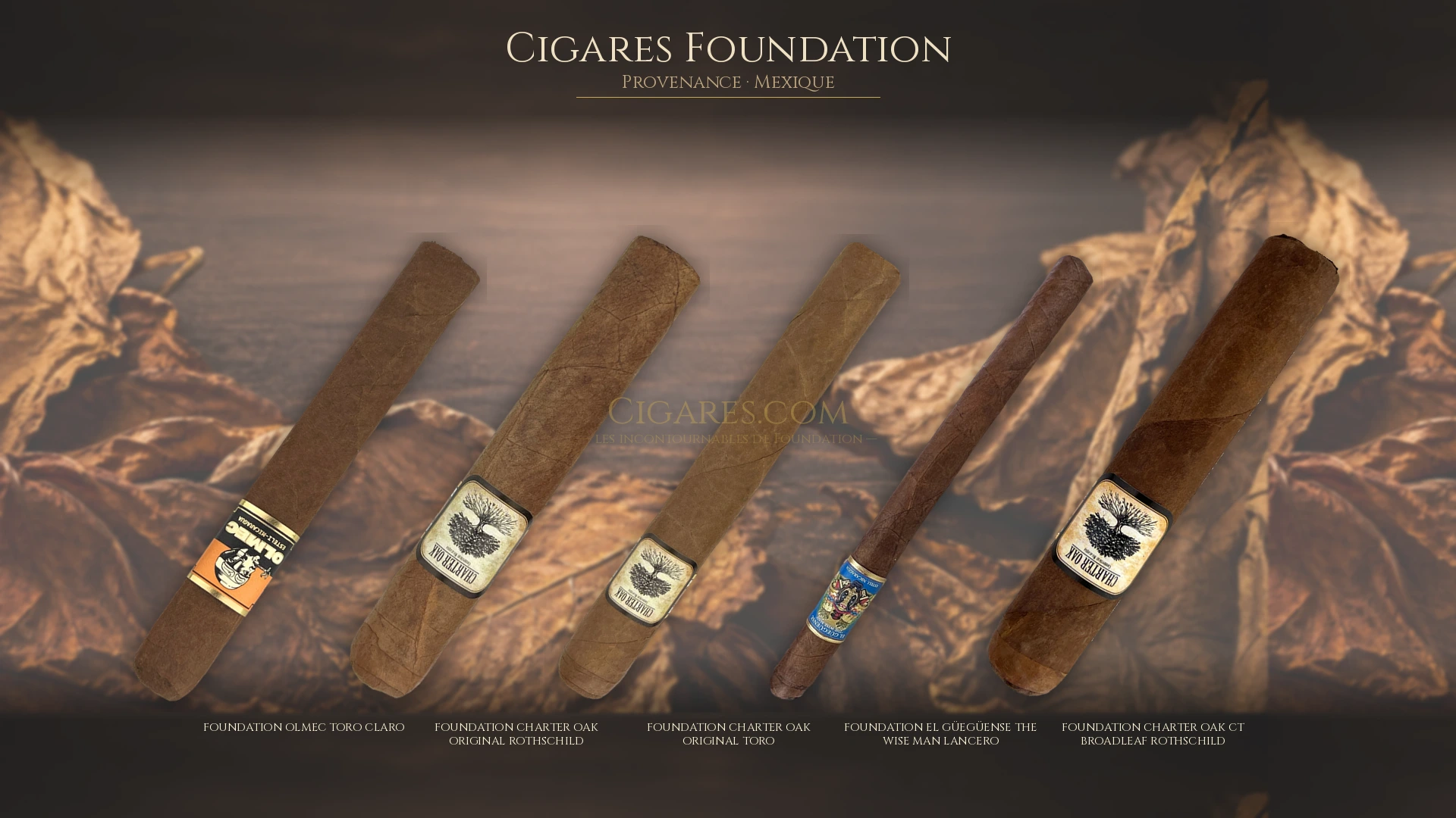 Top 5 cigares Foundation — les plus populaires