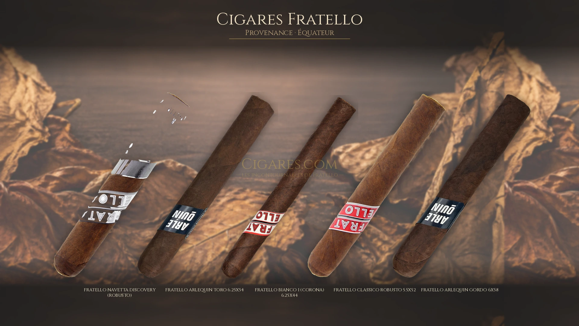 Top 5 cigares Fratello — les plus populaires