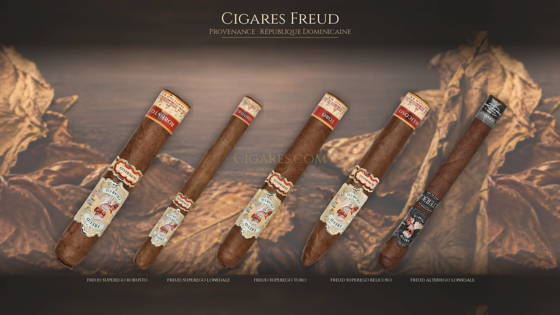 Top 5 cigares Freud — les plus populaires