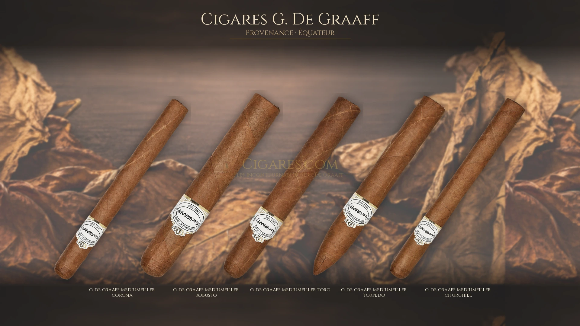 Top 5 cigares G. De Graaff — les plus populaires