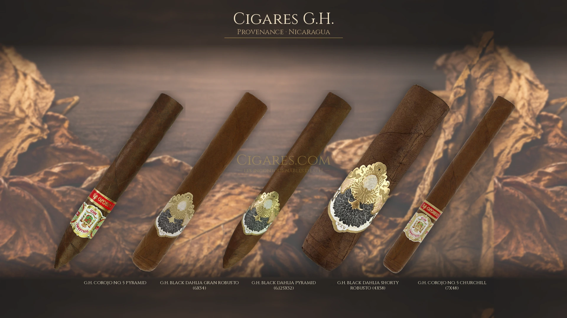 Top 5 cigares G.H. — les plus populaires