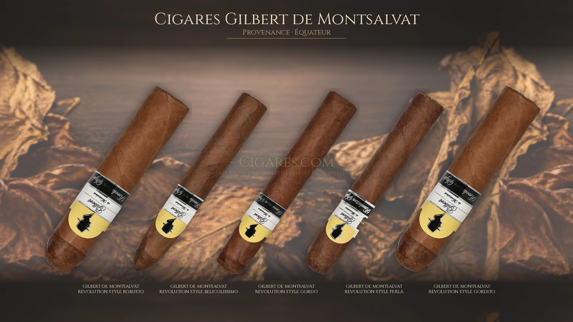 Top 5 cigares Gilbert de Montsalvat — les plus populaires