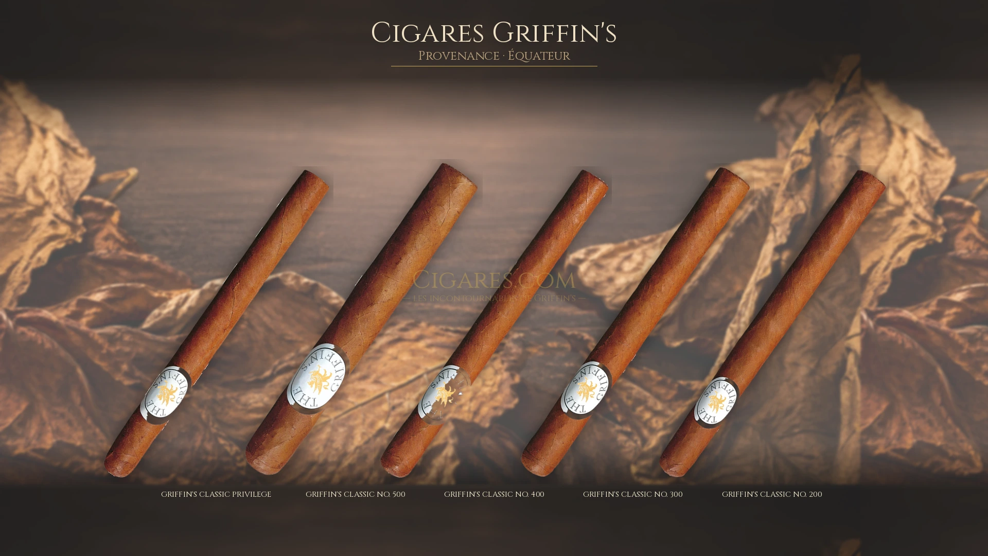 Top 5 cigares Griffin's — les plus populaires