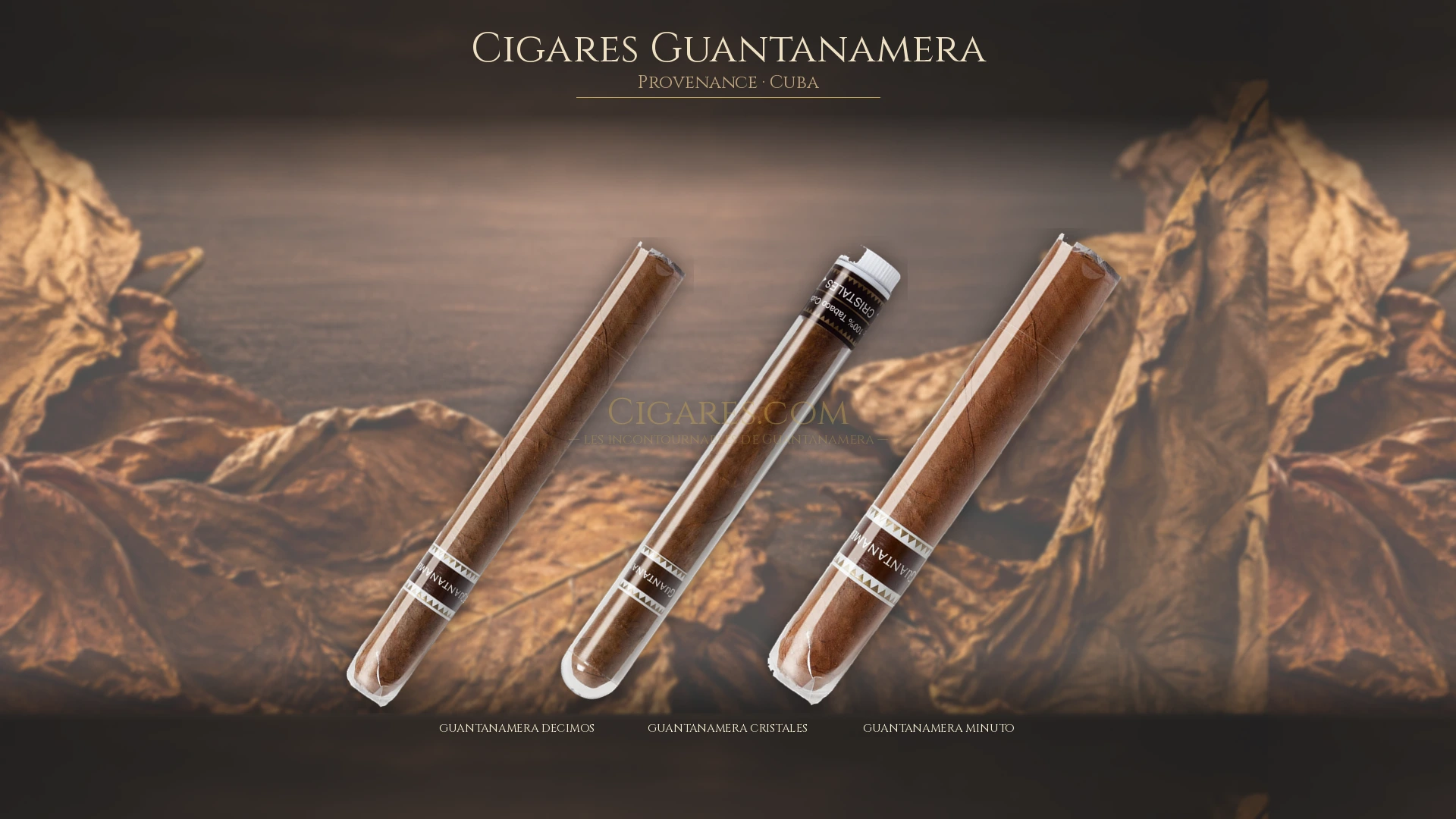 Top 5 cigares Guantanamera — les plus populaires