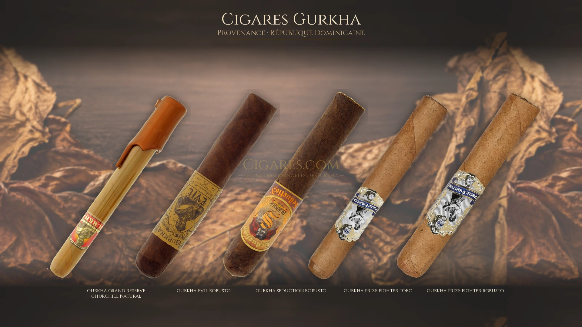 Top 5 cigares Gurkha — les plus populaires