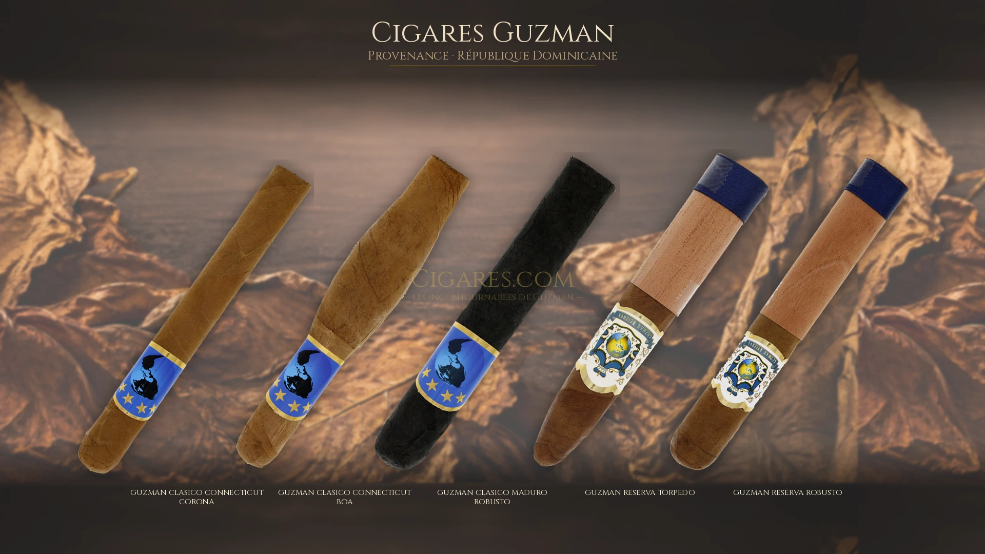 Top 5 cigares Guzman — les plus populaires