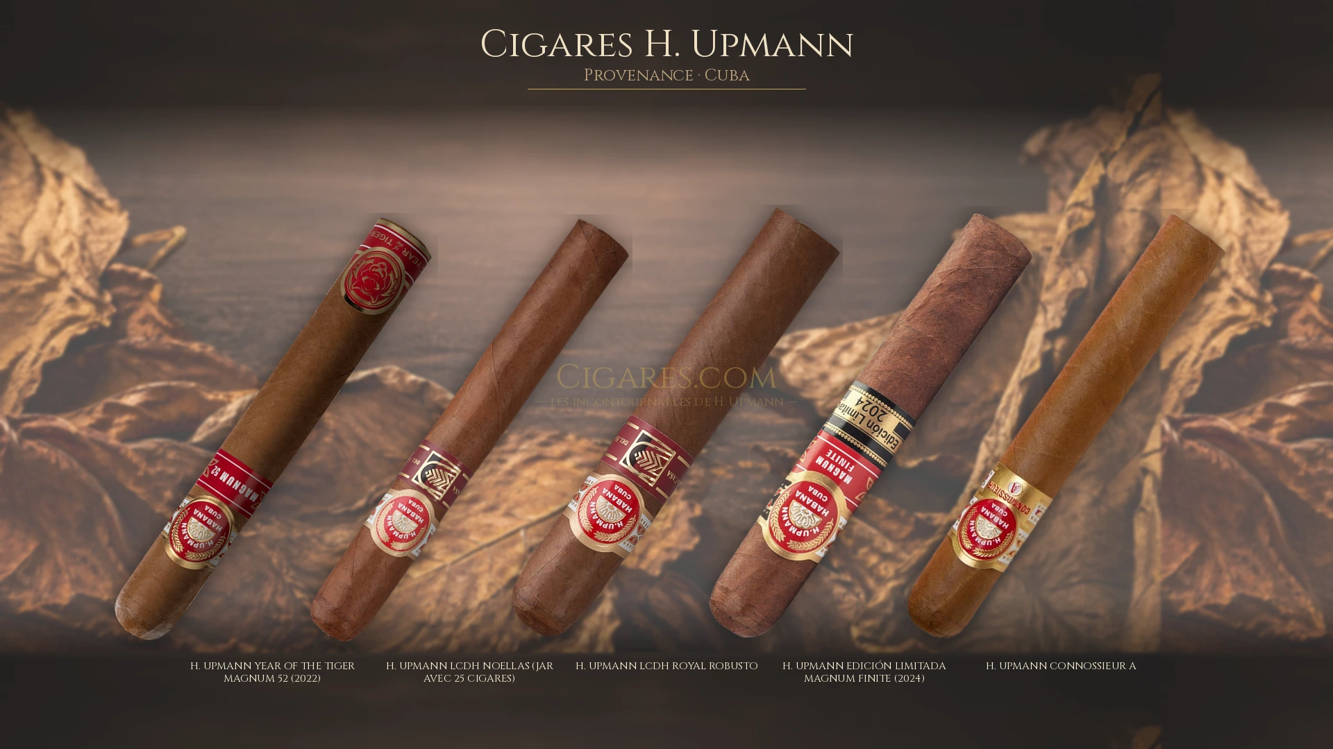Top 5 cigares H. Upmann — les plus populaires