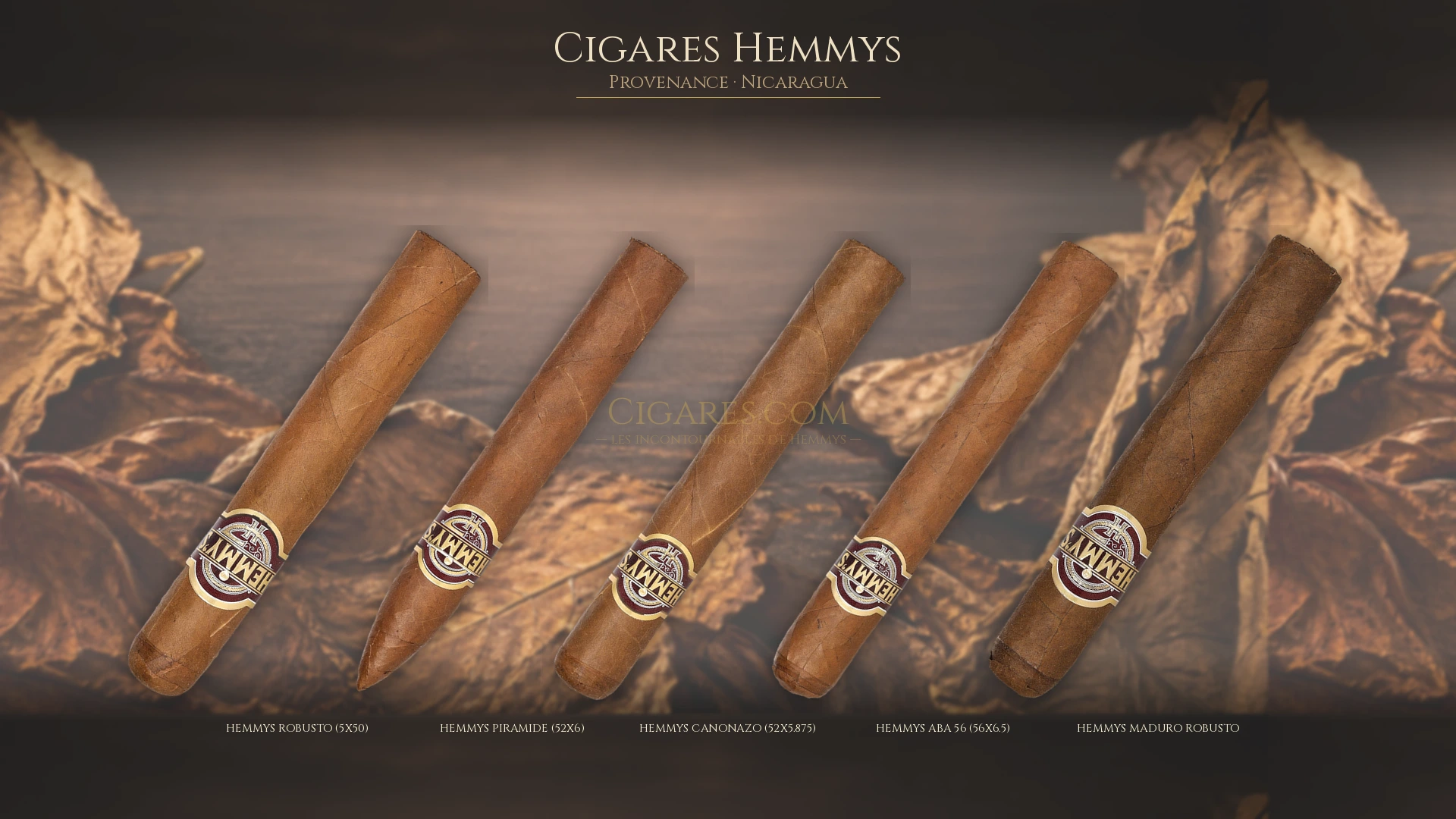 Top 5 cigares Hemmys — les plus populaires