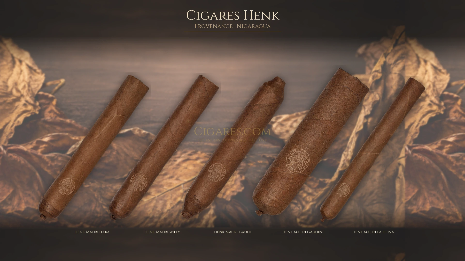 Top 5 cigares Henk — les plus populaires