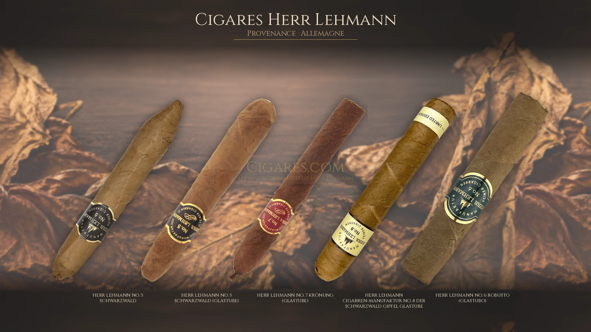 Top 5 cigares Herr Lehmann — les plus populaires