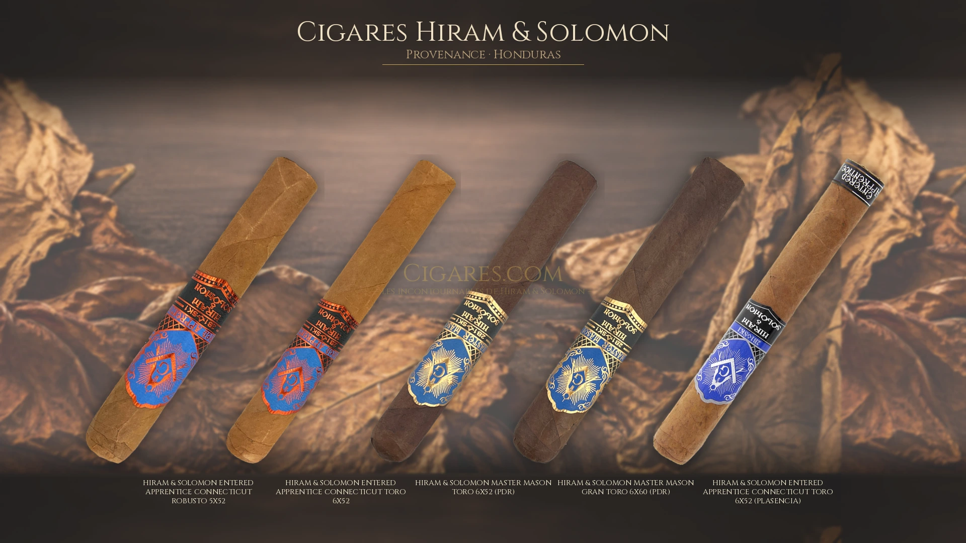 Top 5 cigares Hiram & Solomon — les plus populaires