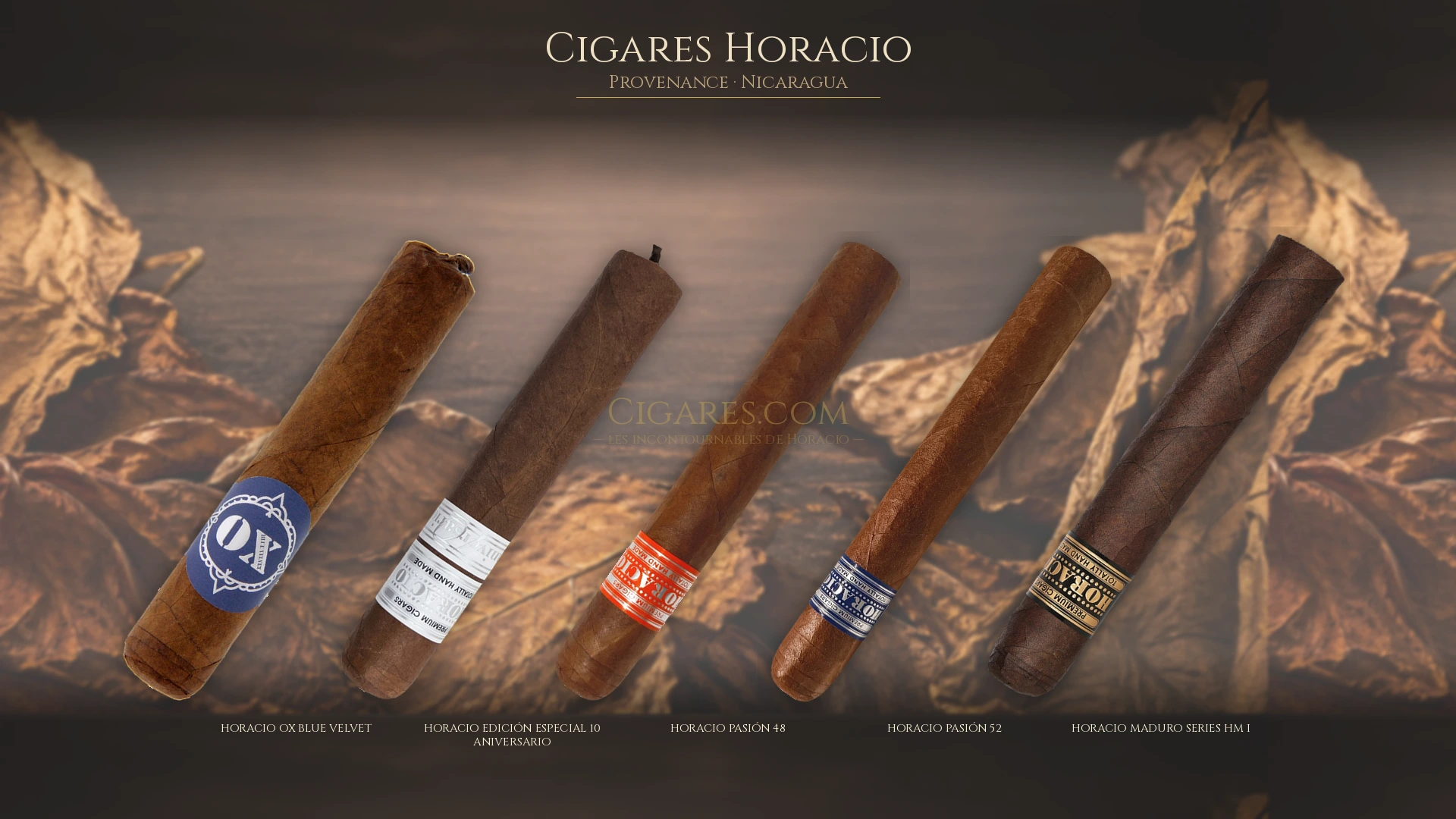 Top 5 cigares Horacio — les plus populaires