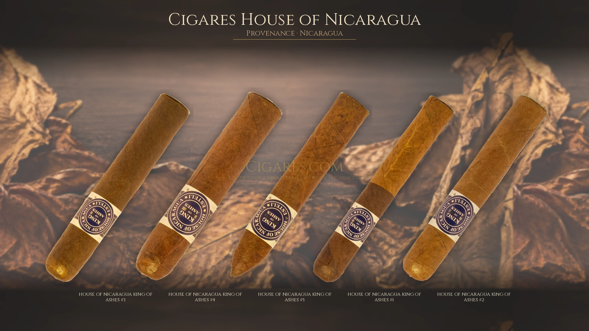 Top 5 cigares House of Nicaragua — les plus populaires